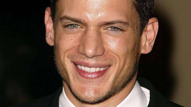 filme und serien von wentworth miller